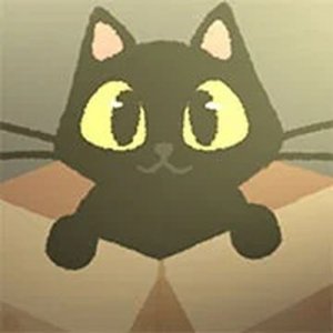 The Cat in the Box Mystery Game
