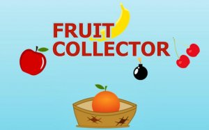 Fruit Collector - Catch the Fruits Online Game