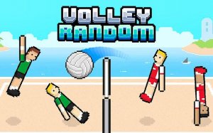 Volley Random: Ragdoll Physics Online Game