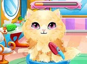 Stray Kitty Care Online Game